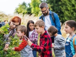 Group of school children with teacher on field trip in nature, learning science