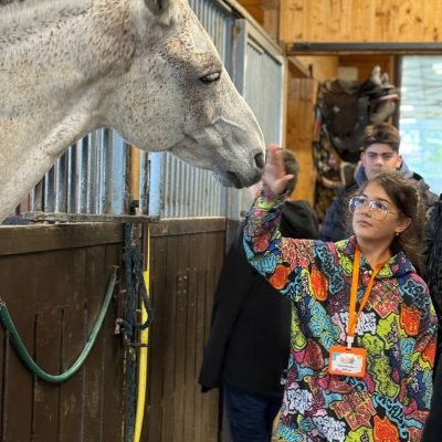 b1eee5e5-9f96-4dca-9bb5-d236d4151fe3